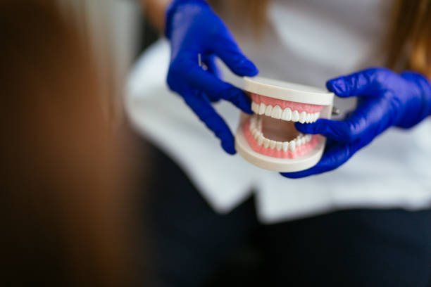 Trusted Mcgovern, PA Dental Services Experts